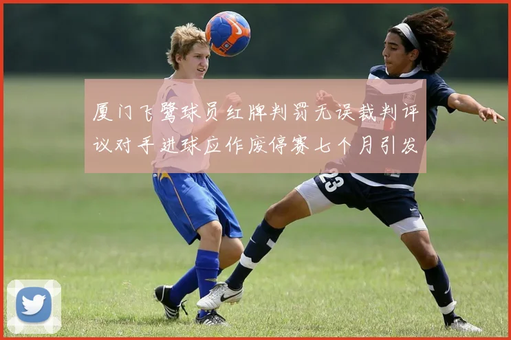 厦门飞鹭球员红牌判罚无误裁判评议对手进球应作废停赛七个月引发热议