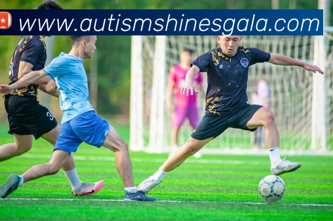 多彩内容专区